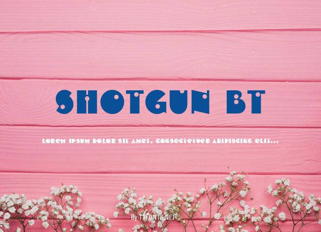 Shotgun BT example